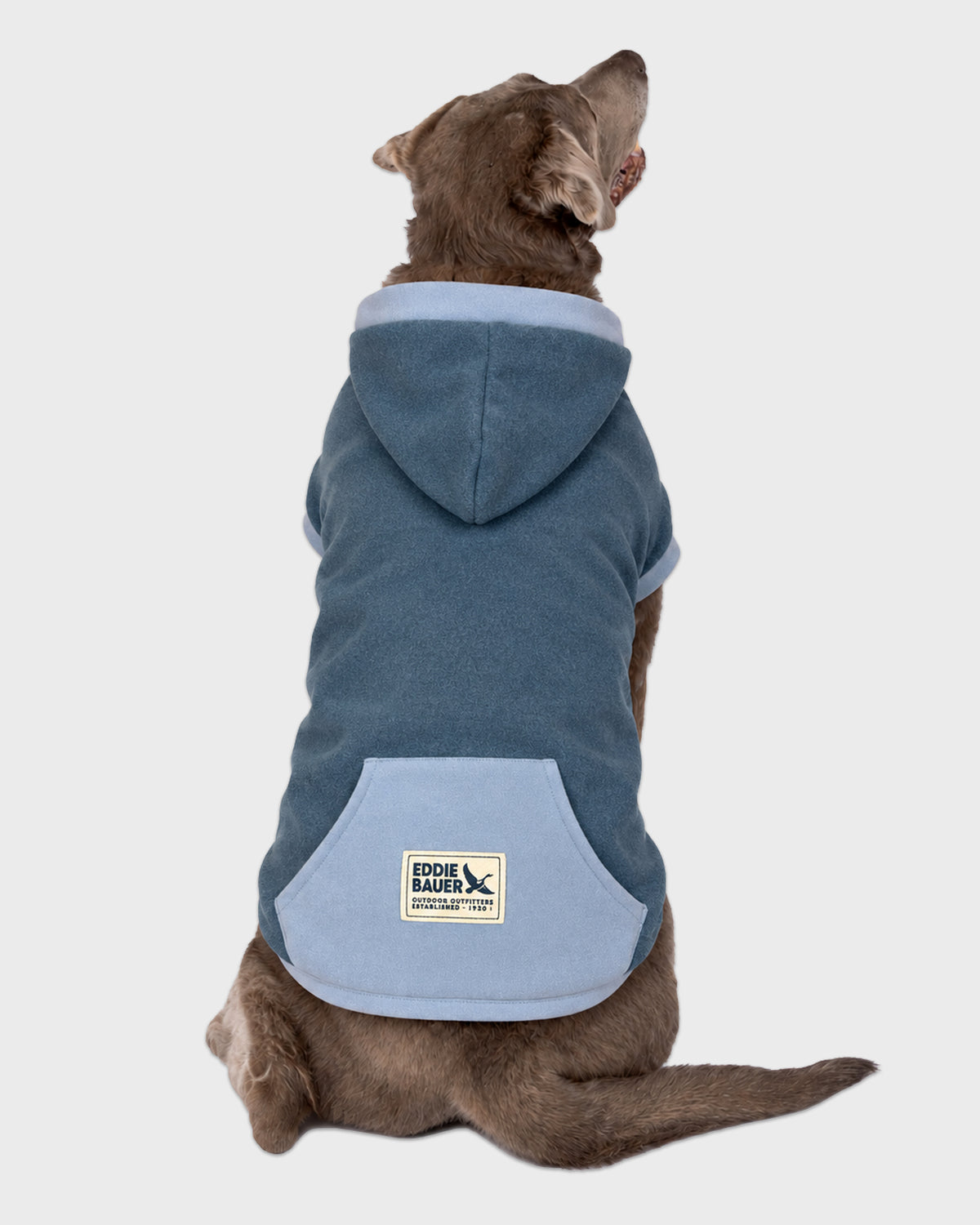 Dog Blue Hoodie with Accent Trim