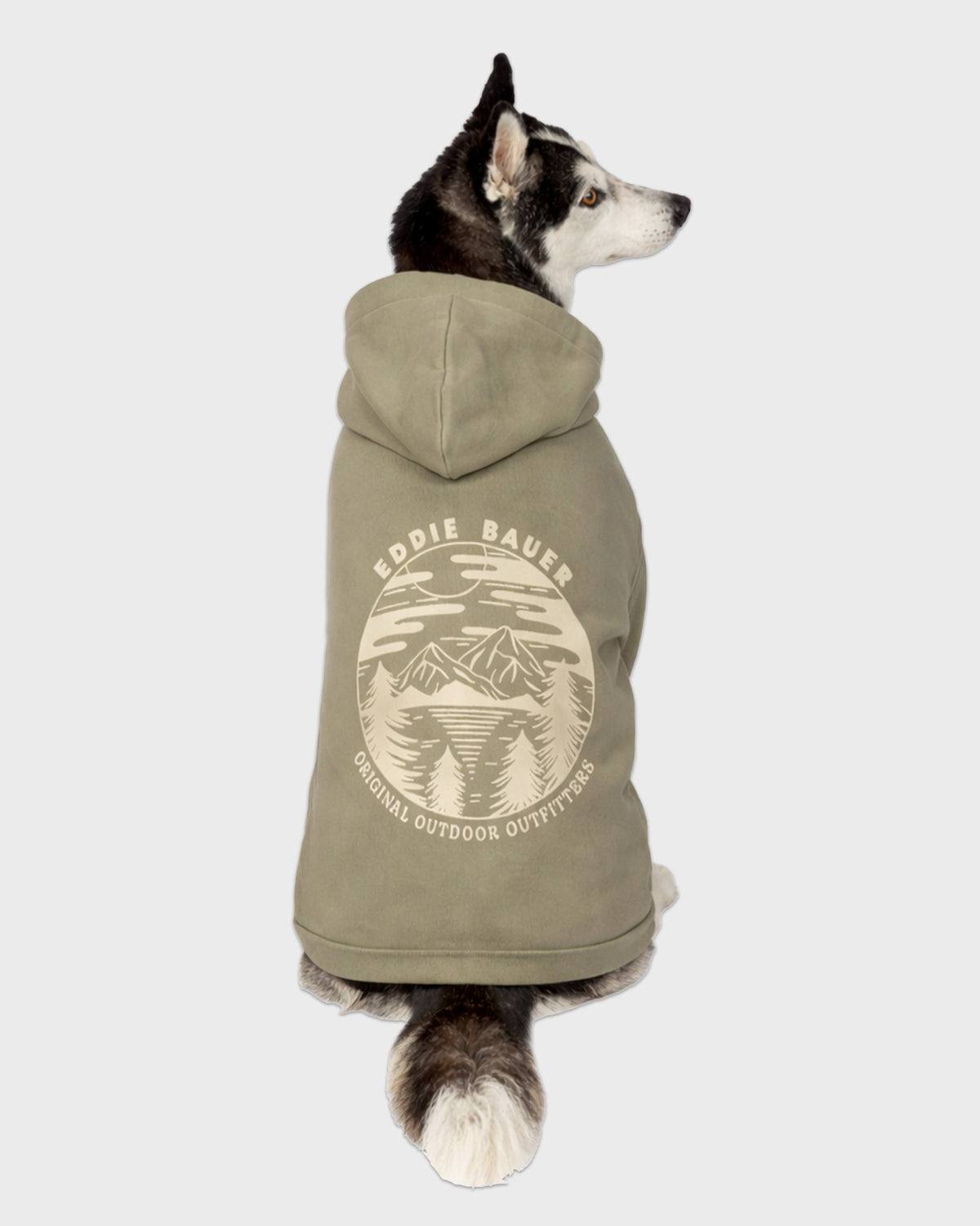 Dog Green Graphic Hoodie