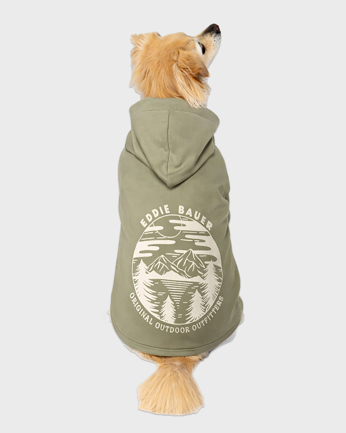Dog Green Graphic Hoodie