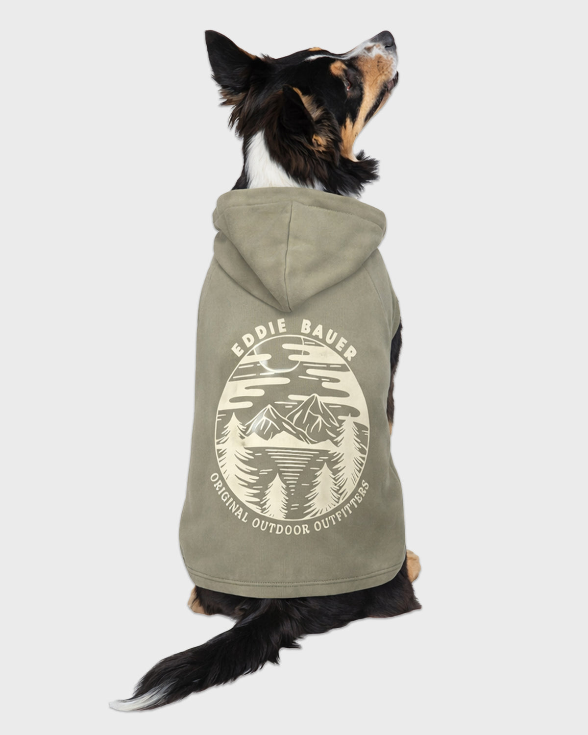Dog Green Graphic Hoodie