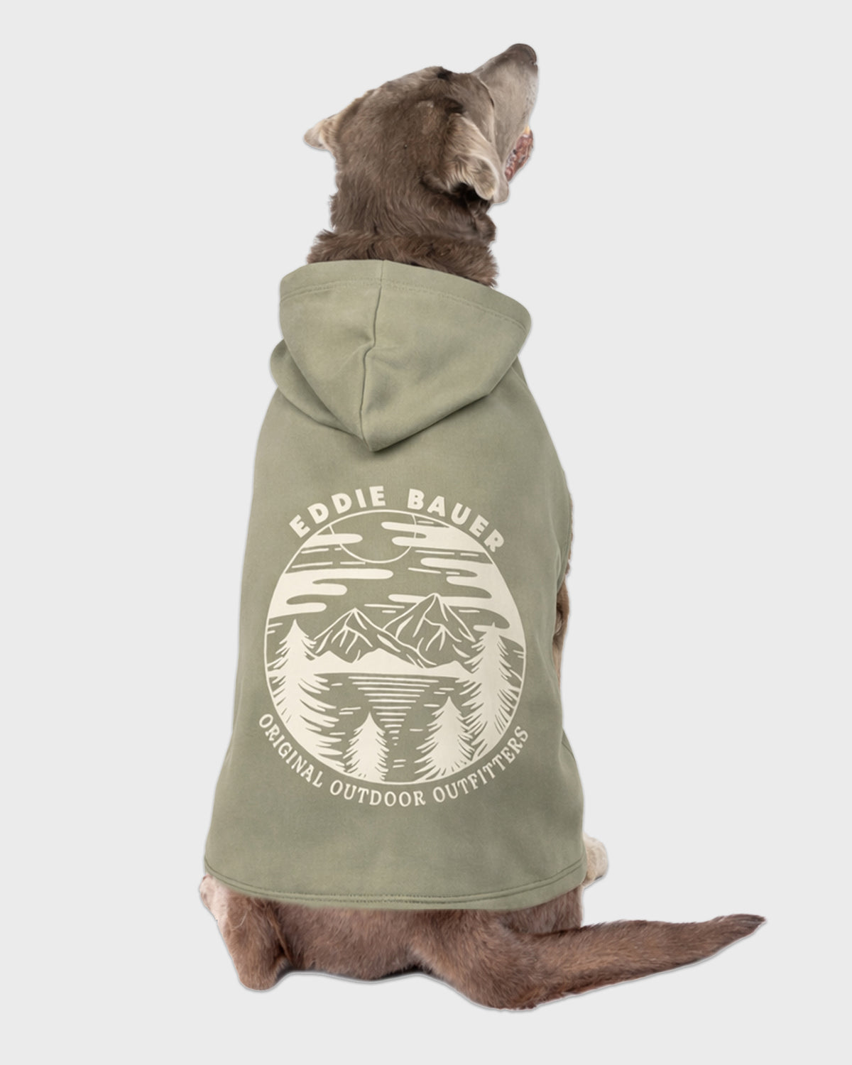 Dog Green Graphic Hoodie