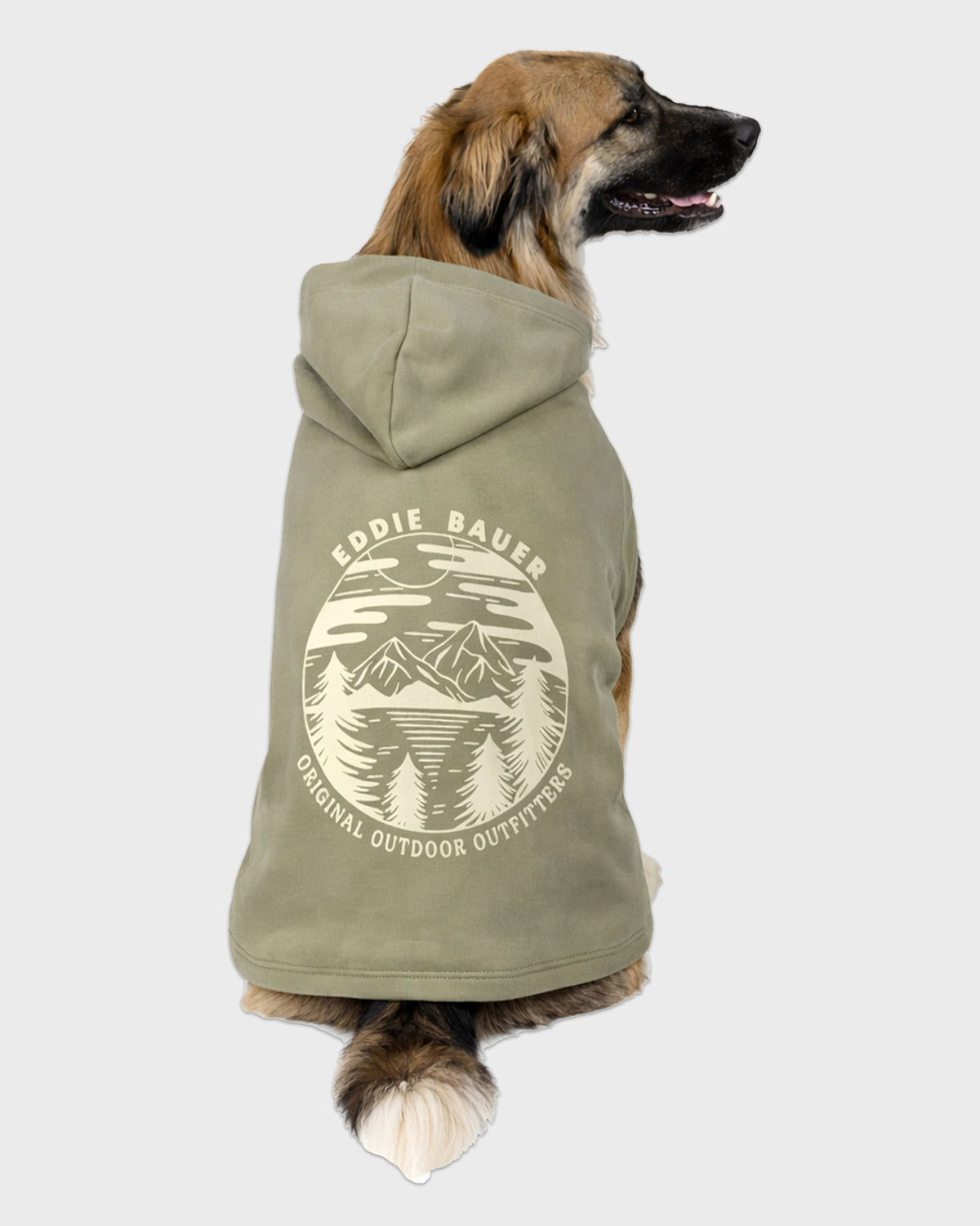 Dog Green Graphic Hoodie