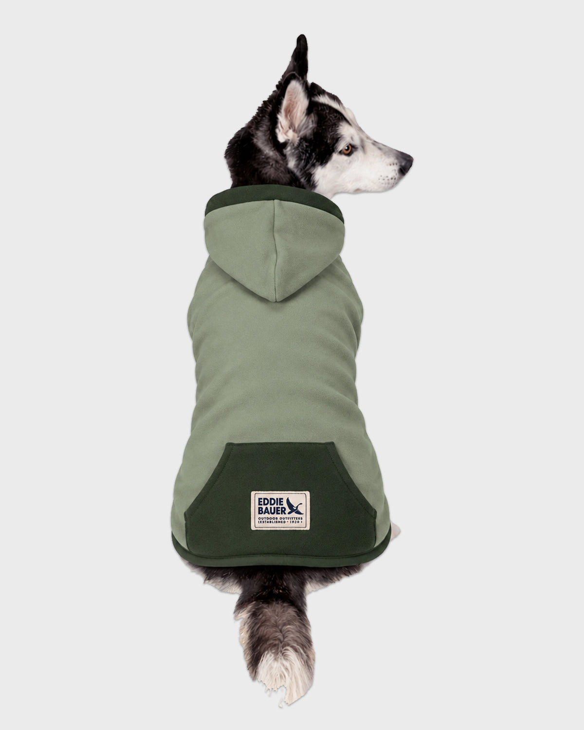 Dog Hoodie Sage with Accent Trim