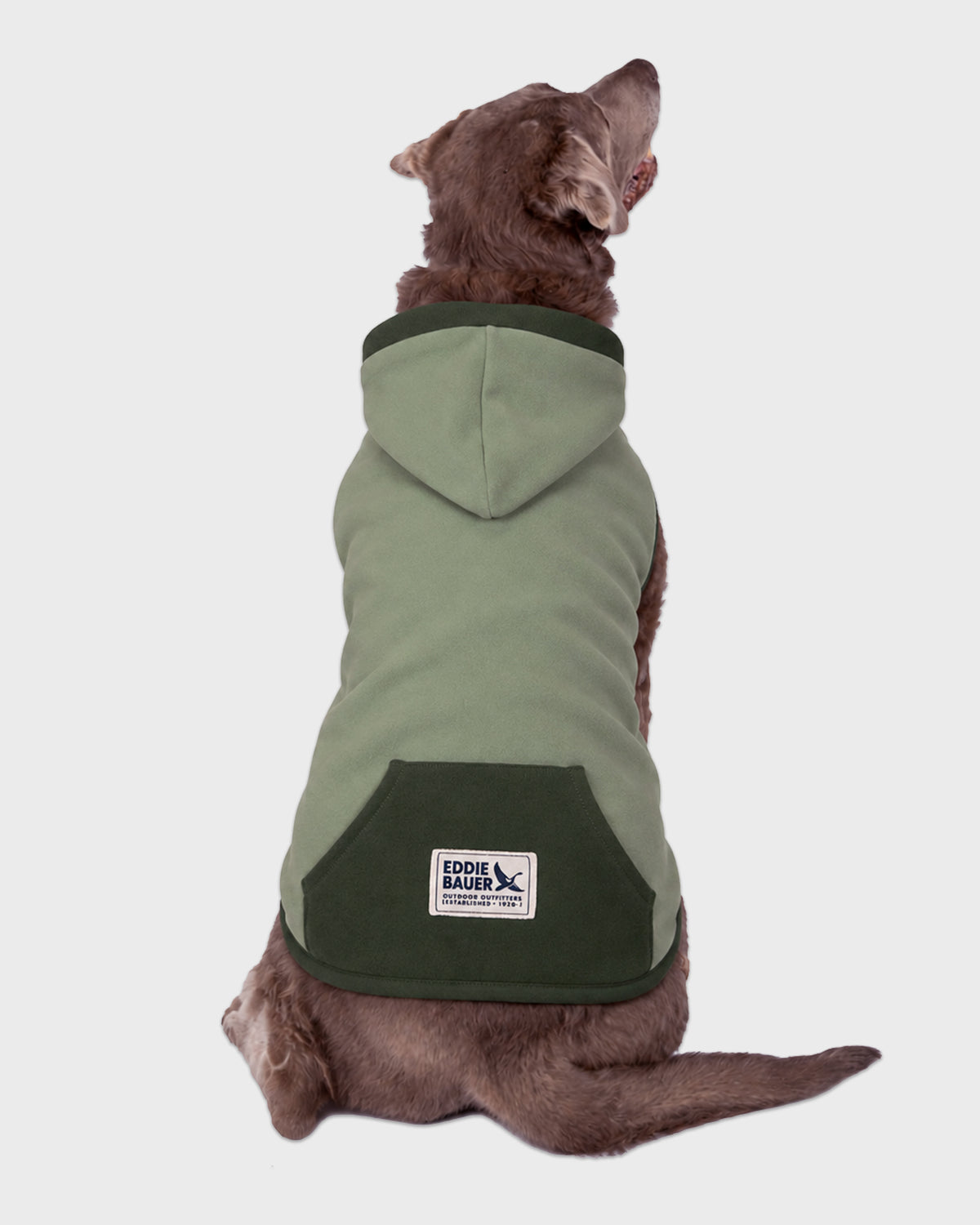 Dog Hoodie Sage with Accent Trim
