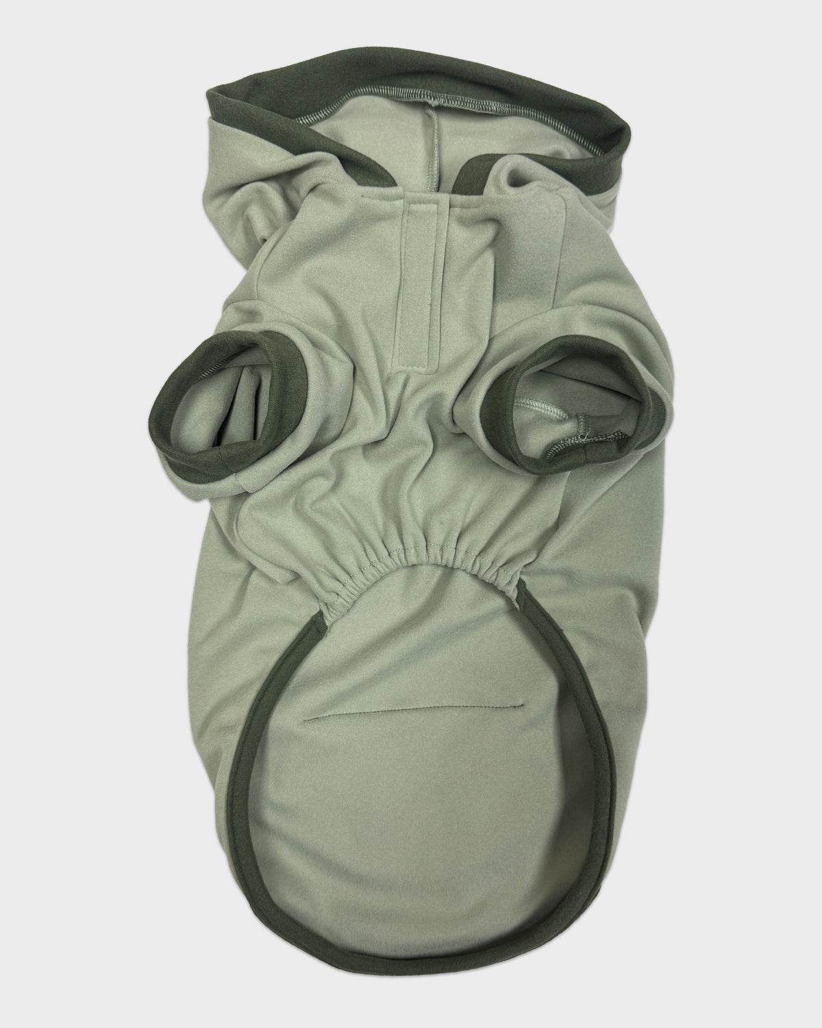 Dog Hoodie Sage with Accent Trim