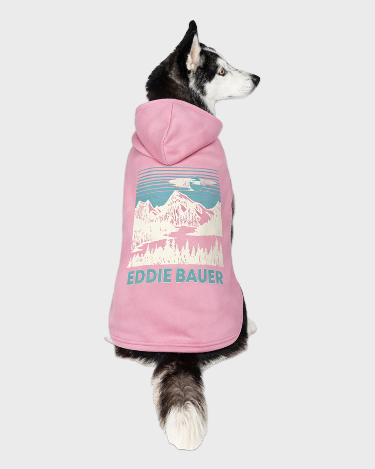 Dog Pink Graphic Hoodie