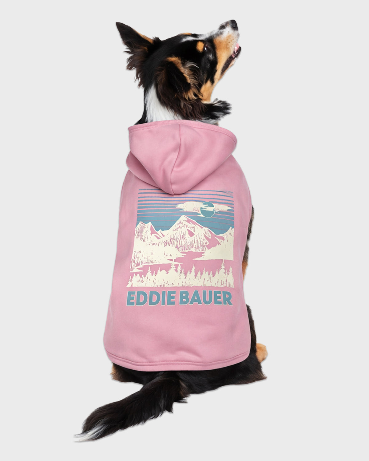 Dog Pink Graphic Hoodie