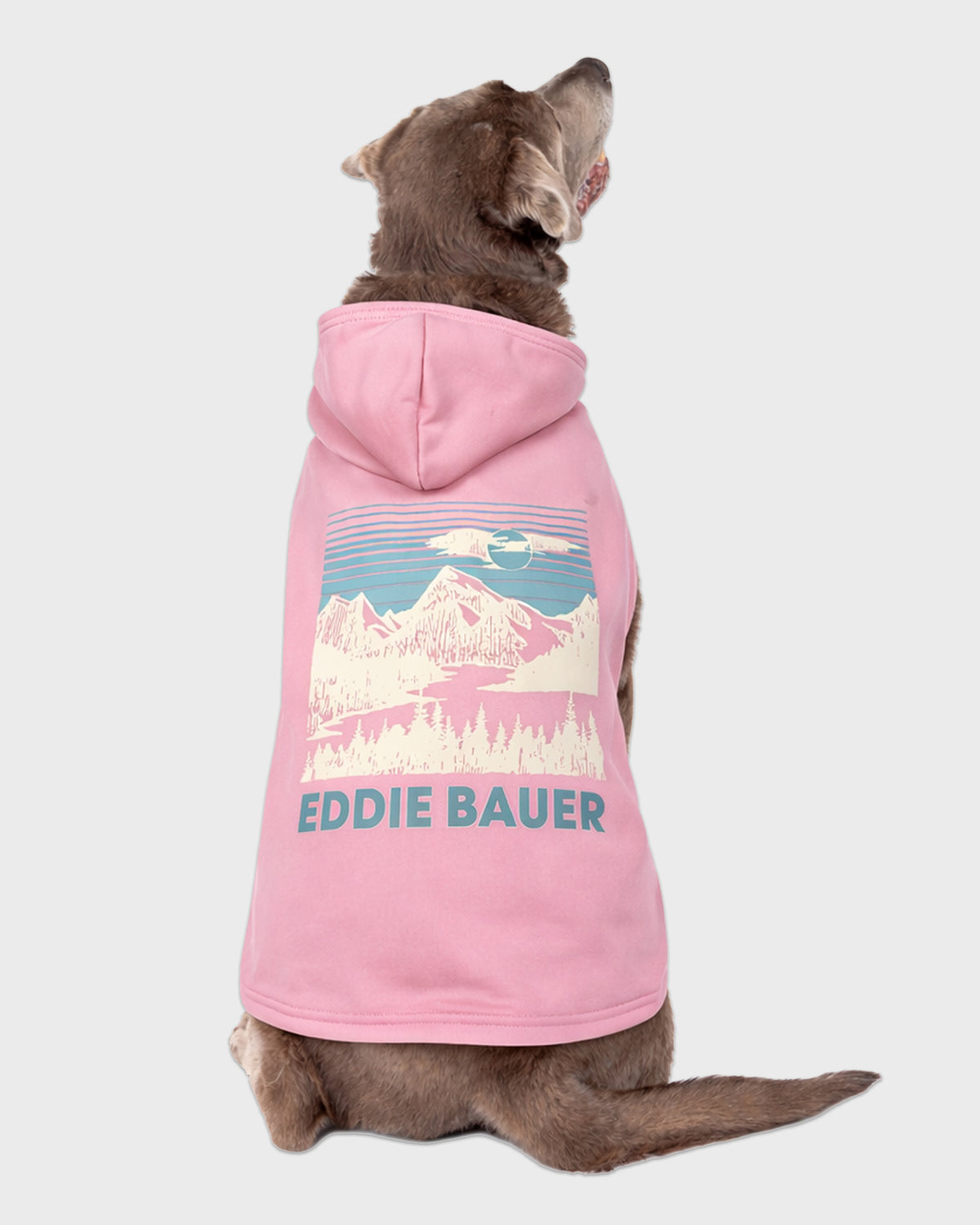 Dog Pink Graphic Hoodie