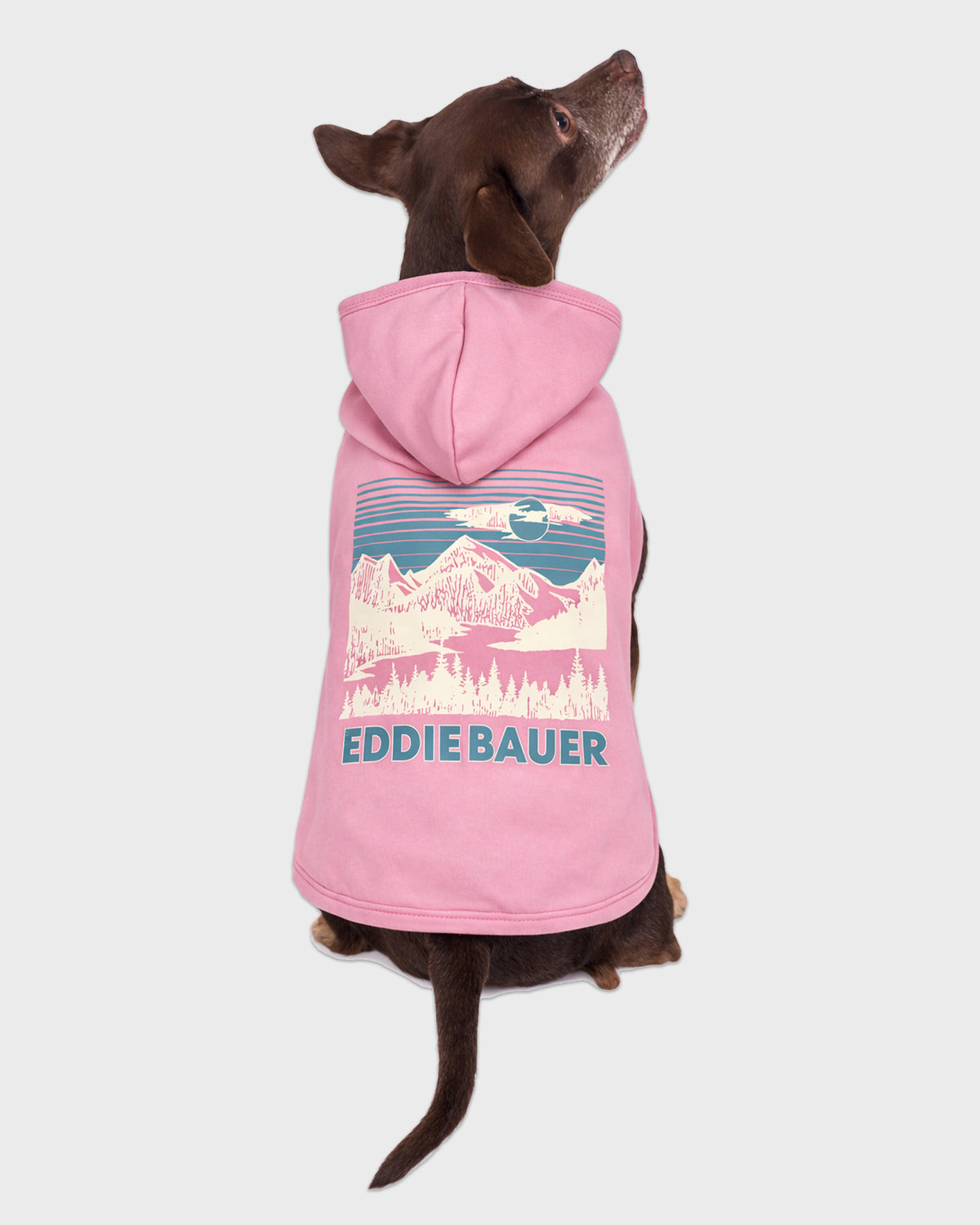 Dog Pink Graphic Hoodie