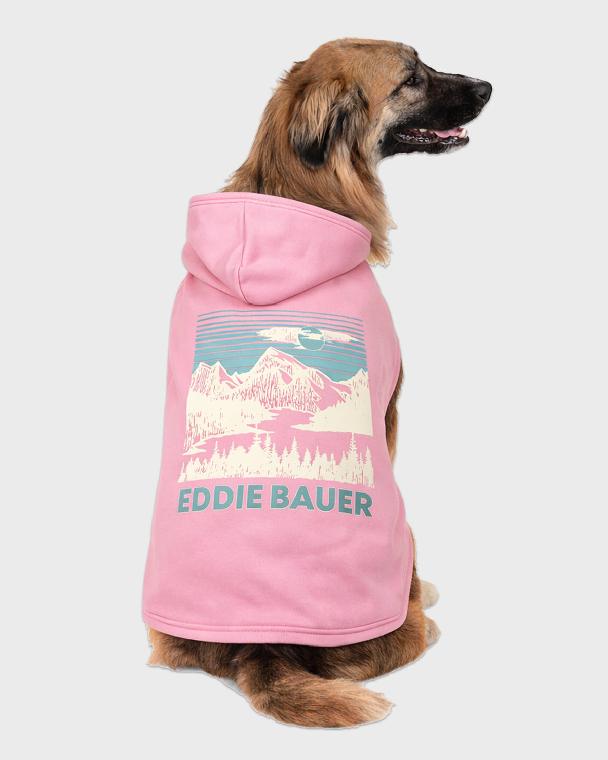 Dog Pink Graphic Hoodie