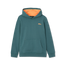 SAGEBRUSH GREEN