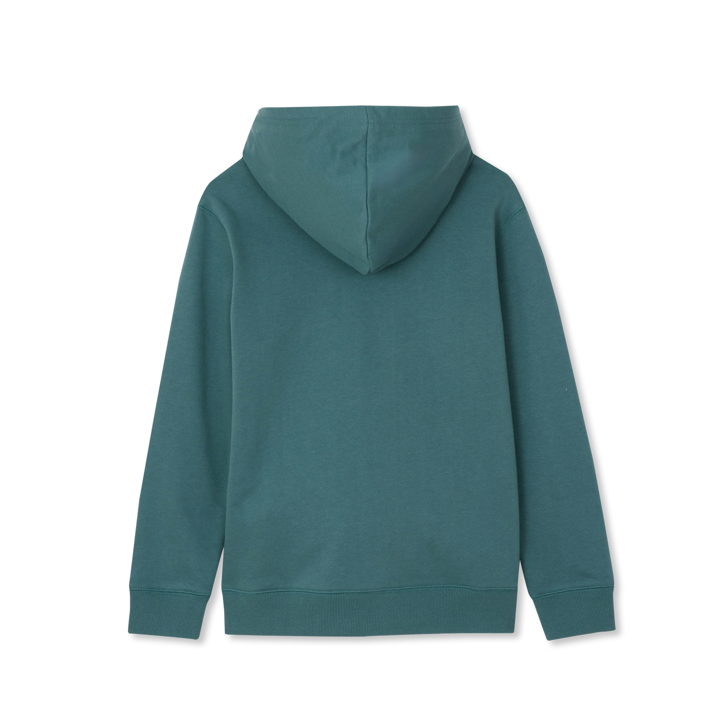 #color_sage brush green