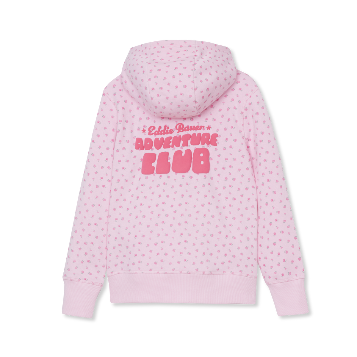 Girls' Camp Fleece Graphic Hoodie-Pirouette-9