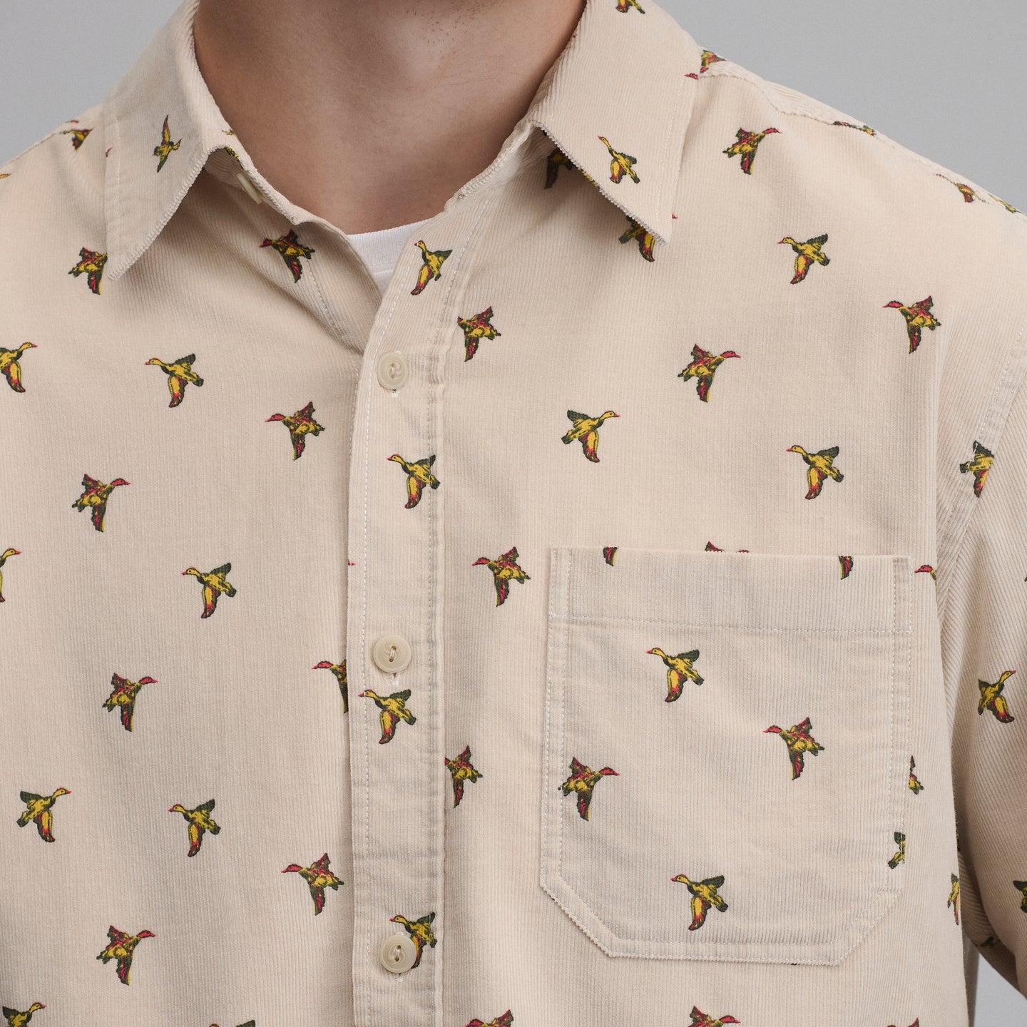 LS Fine Wale Corduroy - Print-Pumice-3