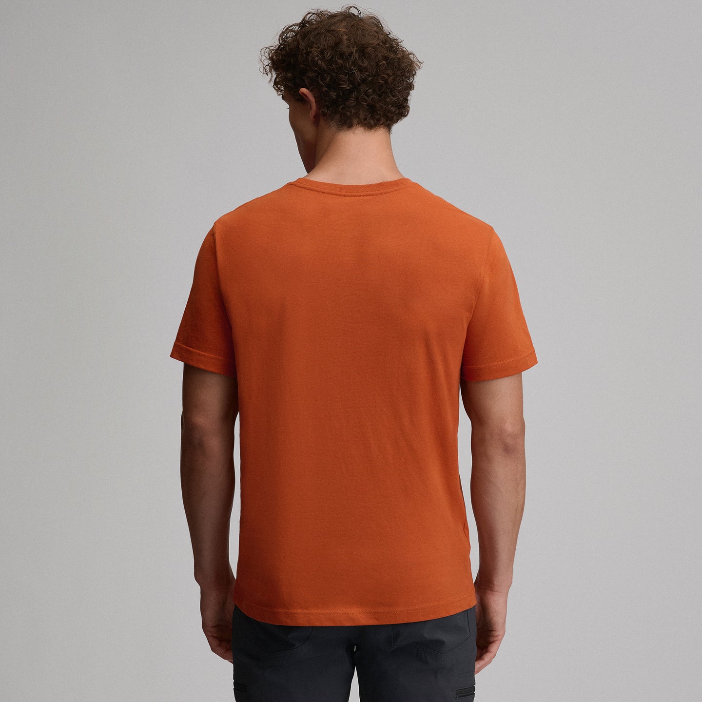 Men's Legend Wash 100% Cotton Short-Sleeve Classic T-Shirt-Picante-42