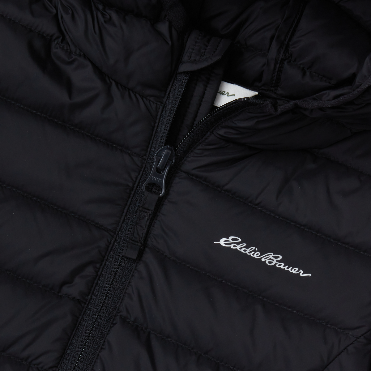 Toddler CirrusLite Down Hooded Jacket-Black Onyx-3